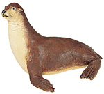 Sea Lion.jpg